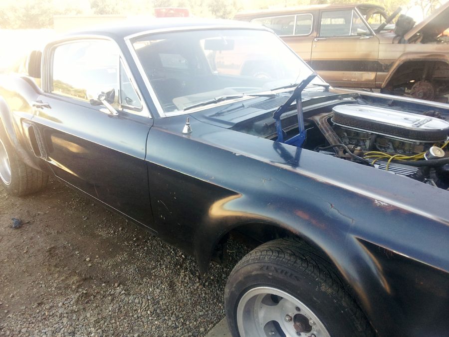 SURVIVOR, 1967 Shelby 500,The first look!