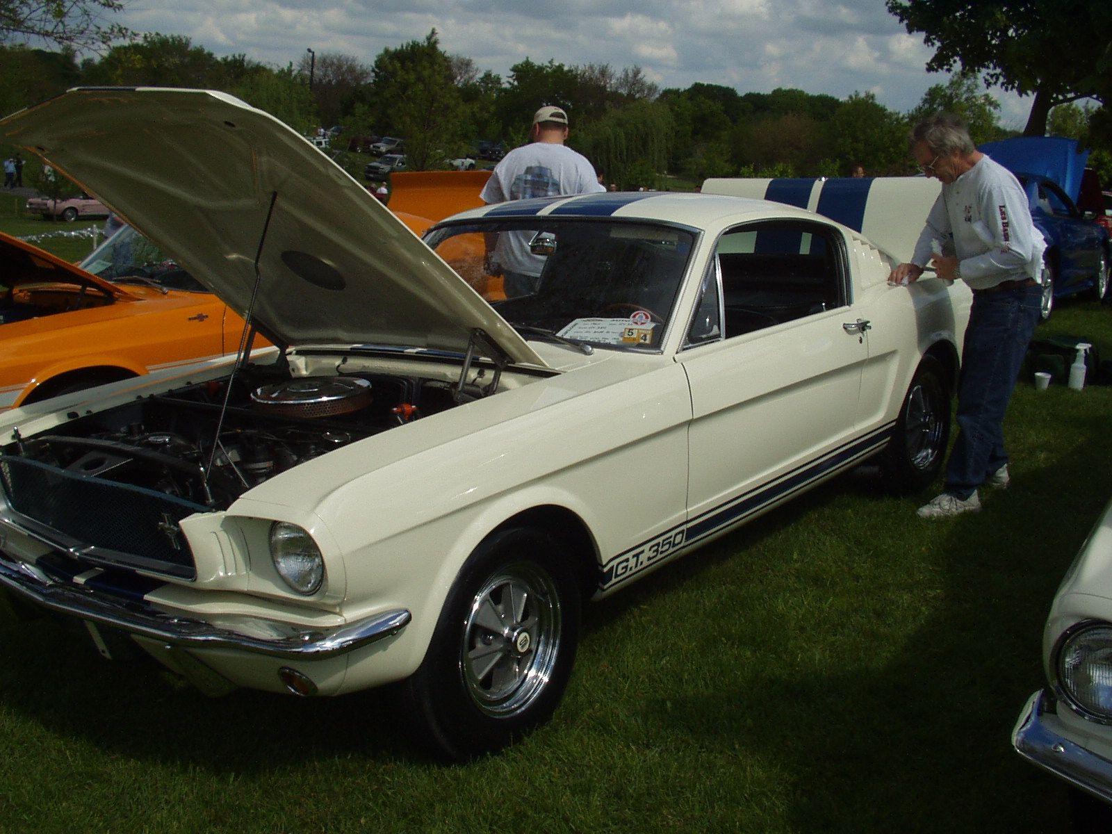 Volo Shelby Show